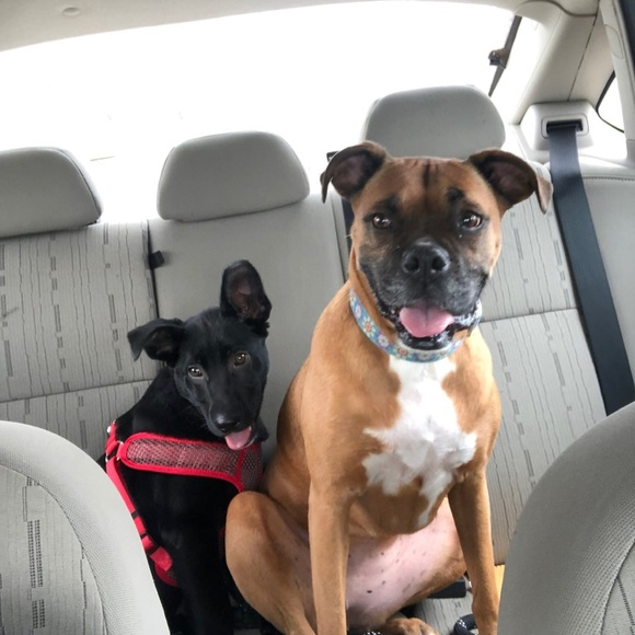 treverskeeters